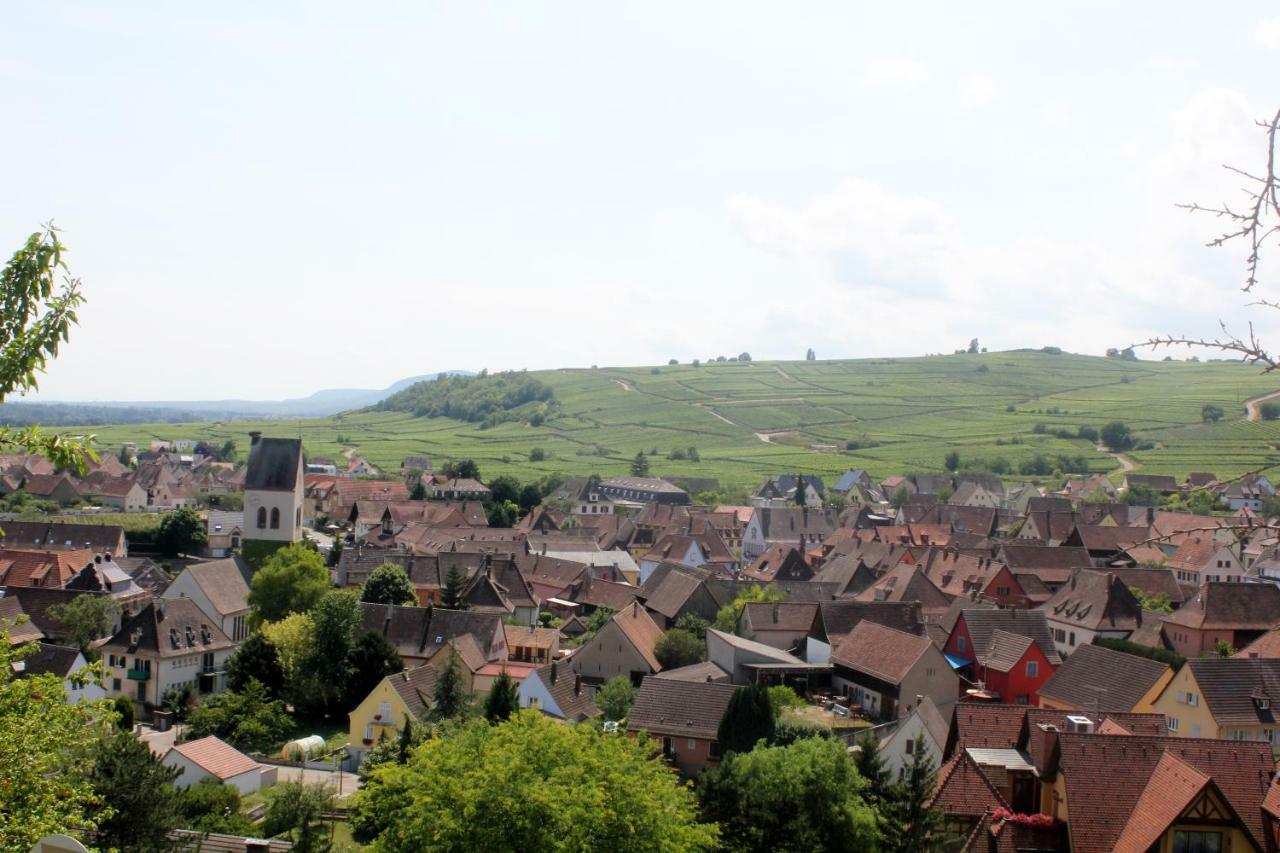 Gite Des 5 Cigognes Rouge Mittelwihr Εξωτερικό φωτογραφία
