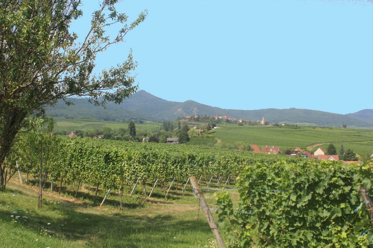 Gite Des 5 Cigognes Rouge Mittelwihr Εξωτερικό φωτογραφία