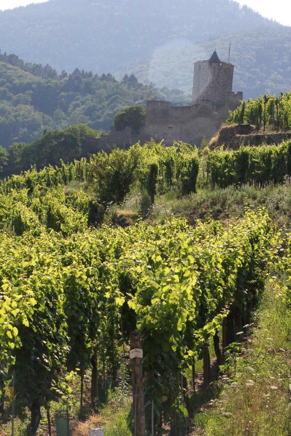 Gite Des 5 Cigognes Rouge Mittelwihr Εξωτερικό φωτογραφία